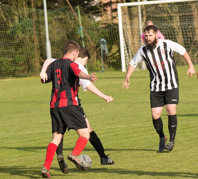 年南部步行 年南部步行