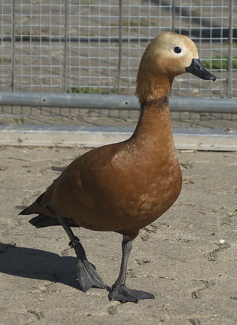 中寻找共鸣
