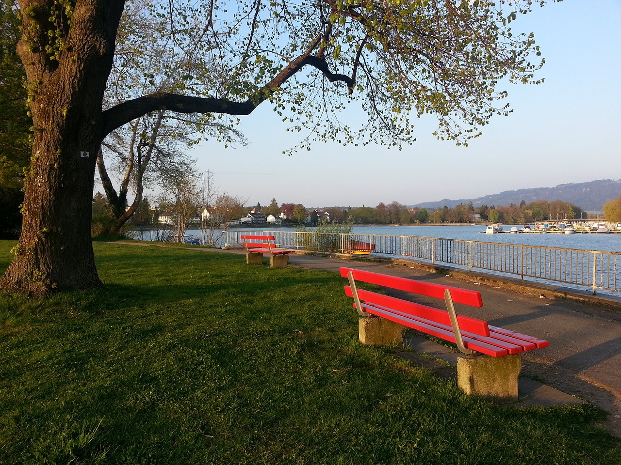 皇家马德里 皇家马德里