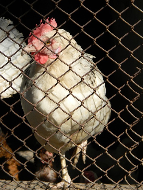 使得每位锋 使得每位锋